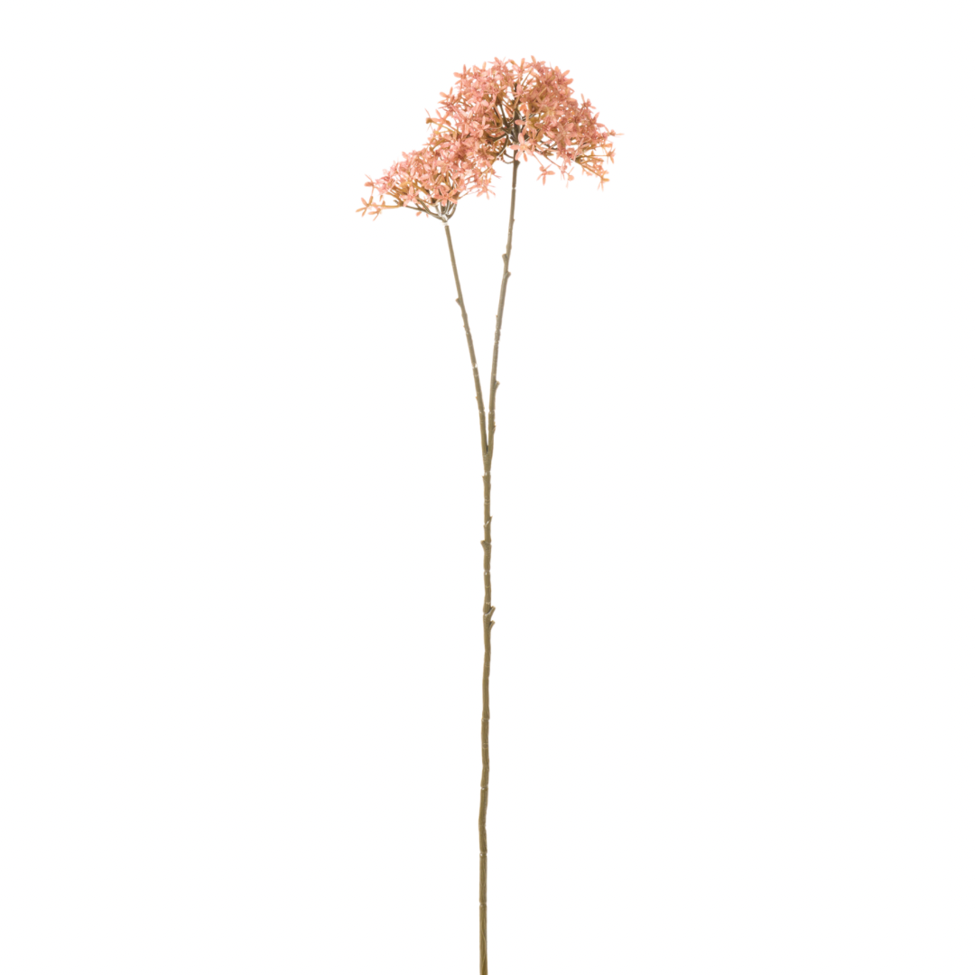 Ramo Fiore Buvardia