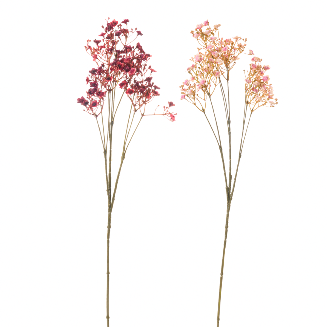 Ramo Fiore Gipsofila