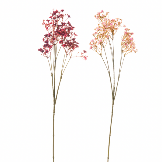 Ramo Fiore Gipsofila