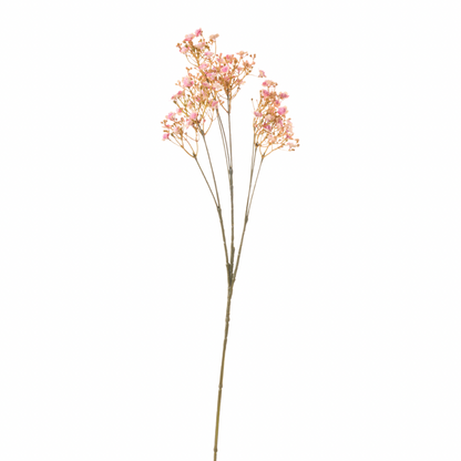 Ramo Fiore Gipsofila