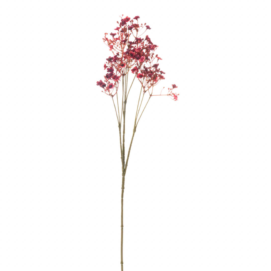 Ramo Fiore Gipsofila