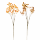 Ramo Fiore Gipsofila