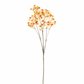 Ramo Fiore Gipsofila