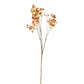 Ramo Fiore Gipsofila