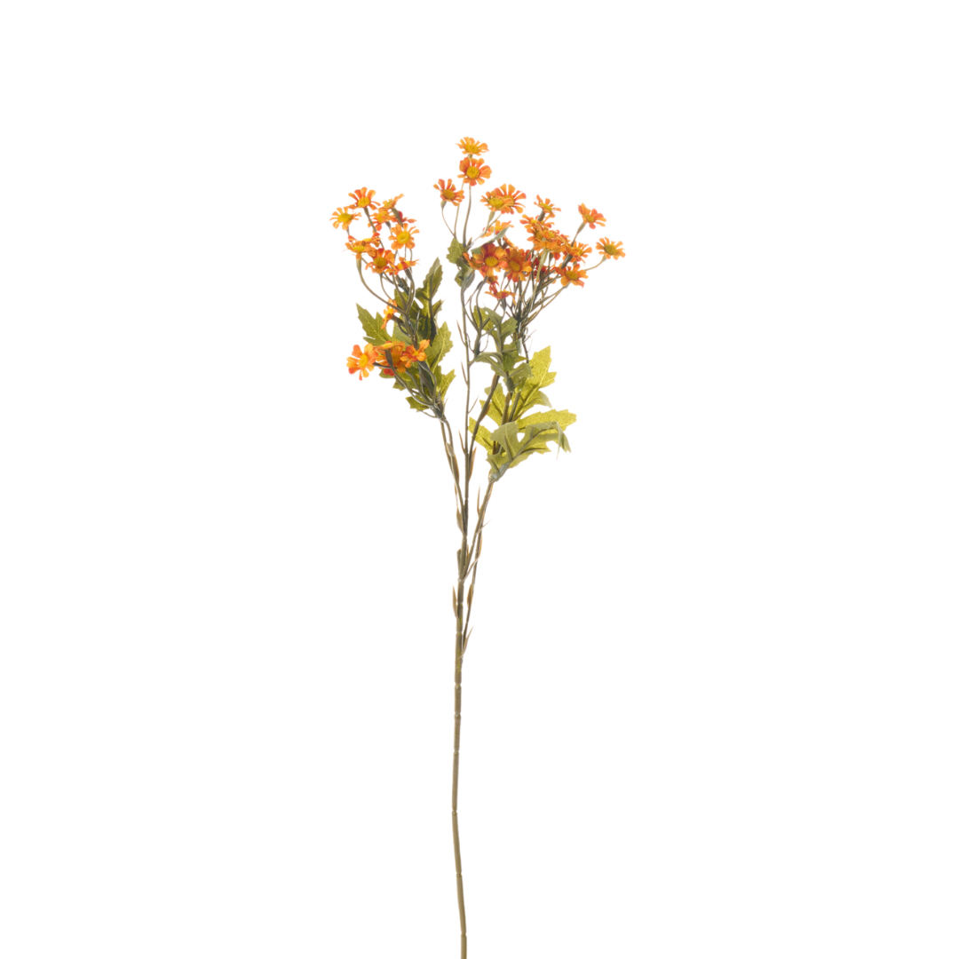 Ramo Fiore Margheritine