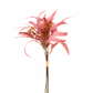 Bouquet Foglie e fiori