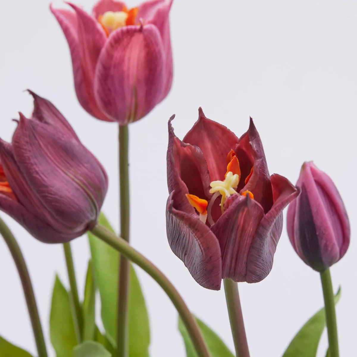 Bouquet 3 tulipani purple