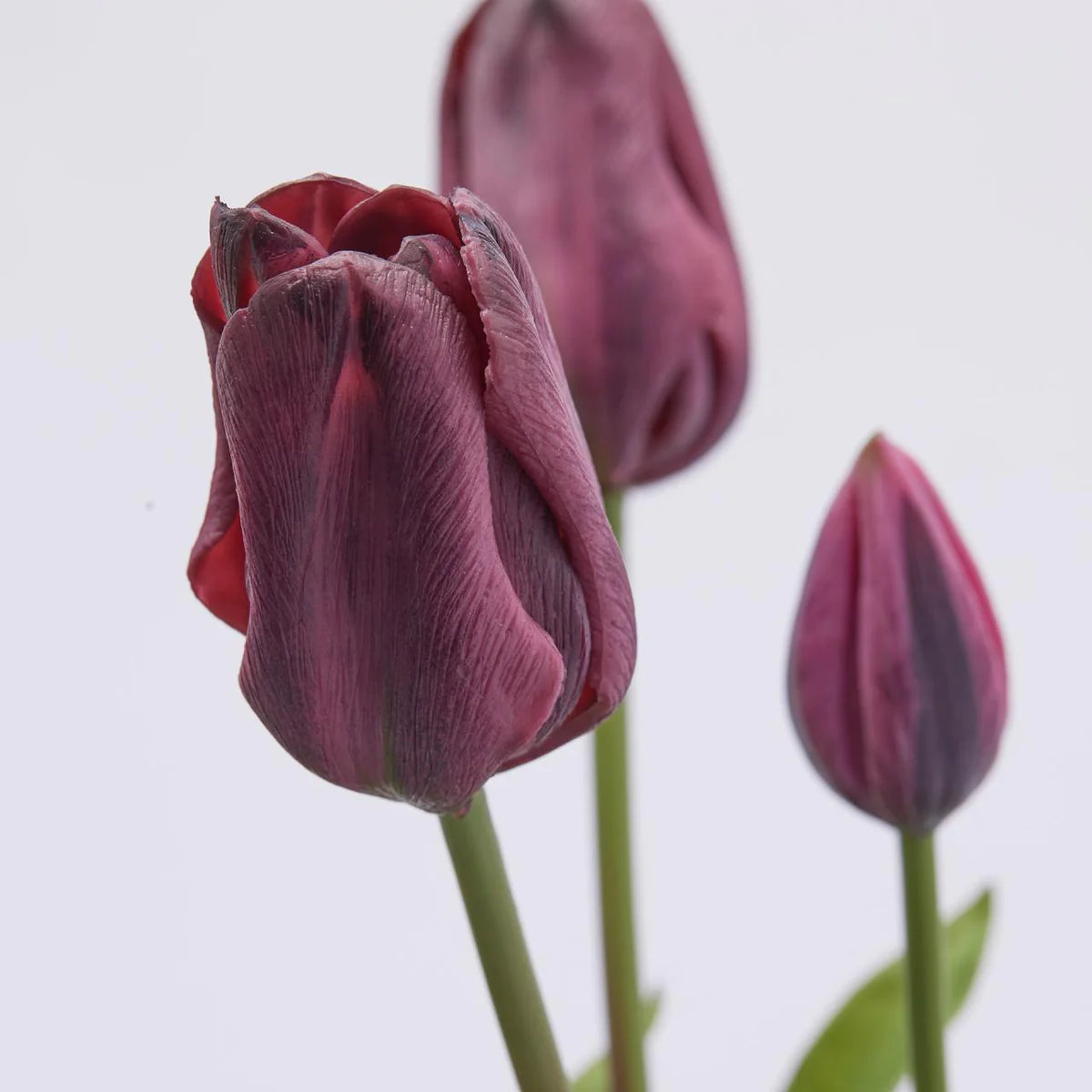 Bouquet 3 tulipani purple