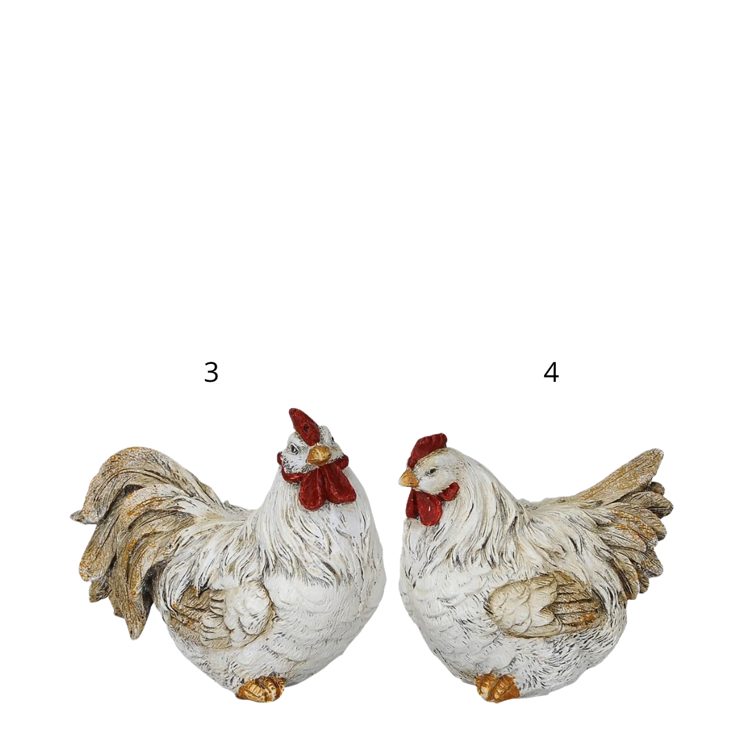 Decoro Gallo e gallina