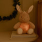 Bunny Light & Sound - Baby Bunny