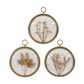 Quadretto Floral