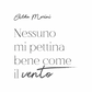 Tela “Nessuno mi pettina bene come il vento"