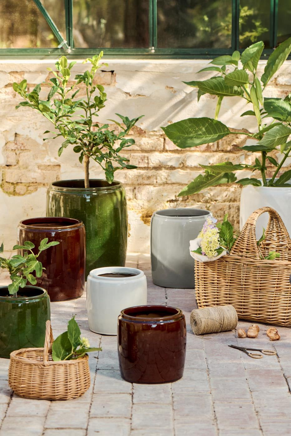 Vaso Saigon