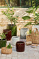 Vaso Saigon