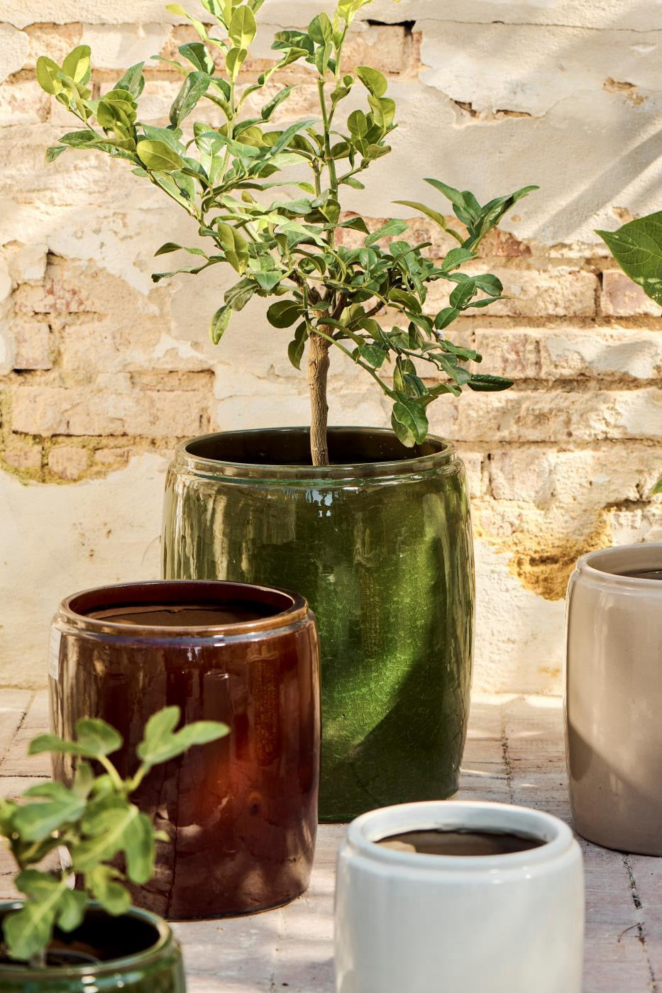 Vaso Saigon