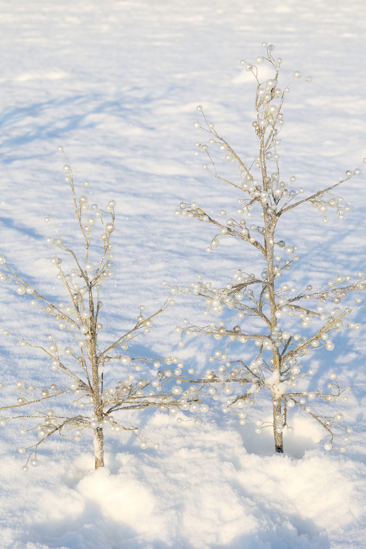 Decoro Albero di Natale
