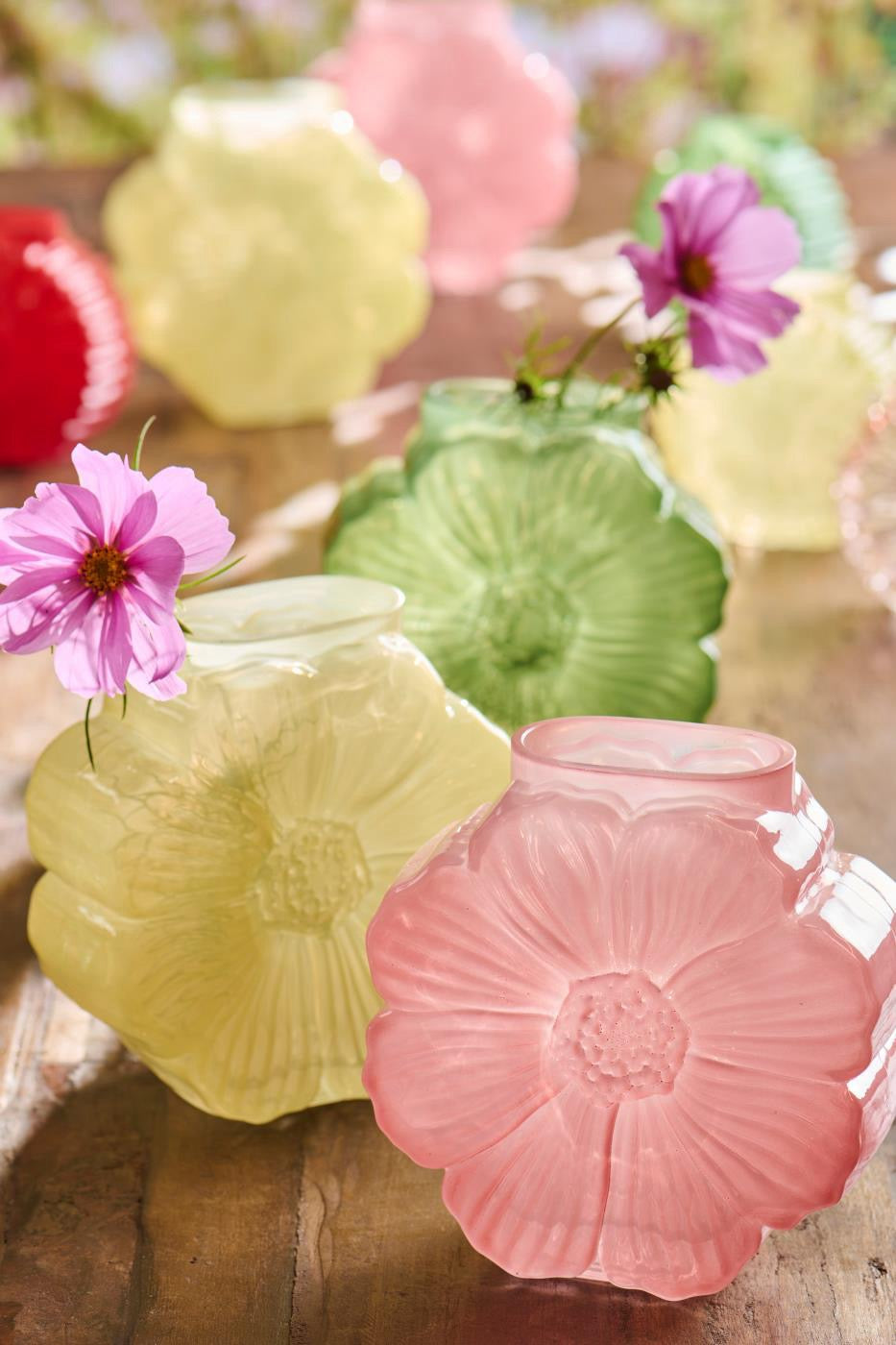 Vaso Daisy