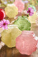 Vaso Daisy
