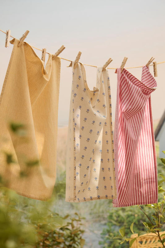 Canovaccio Elisabeth