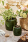 Vaso Saigon