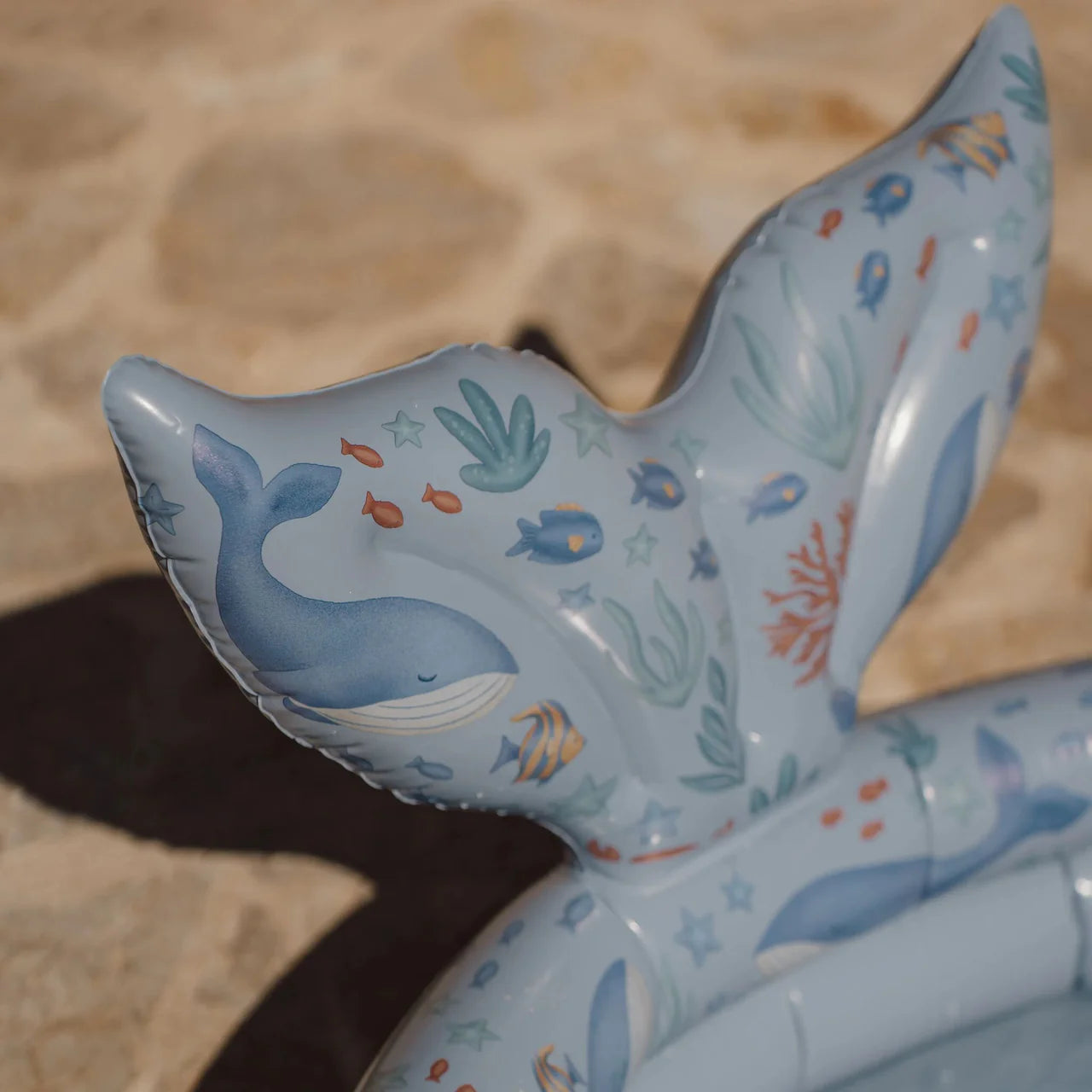 Piscina Sirena Ocean World