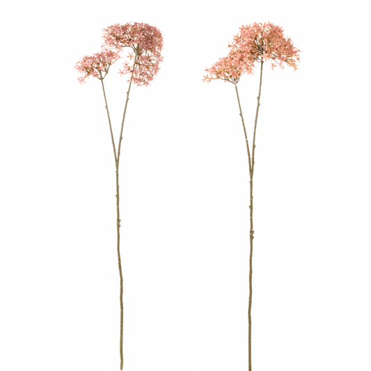 Ramo Fiore Buvardia