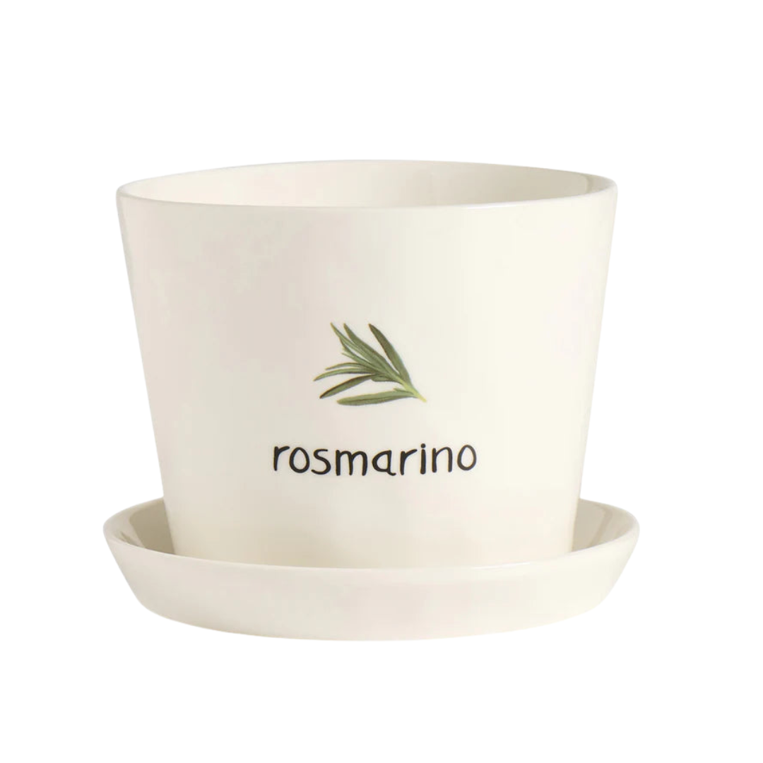 Vaso Rosmarino, con sottovaso
