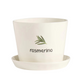 Vaso Rosmarino, con sottovaso