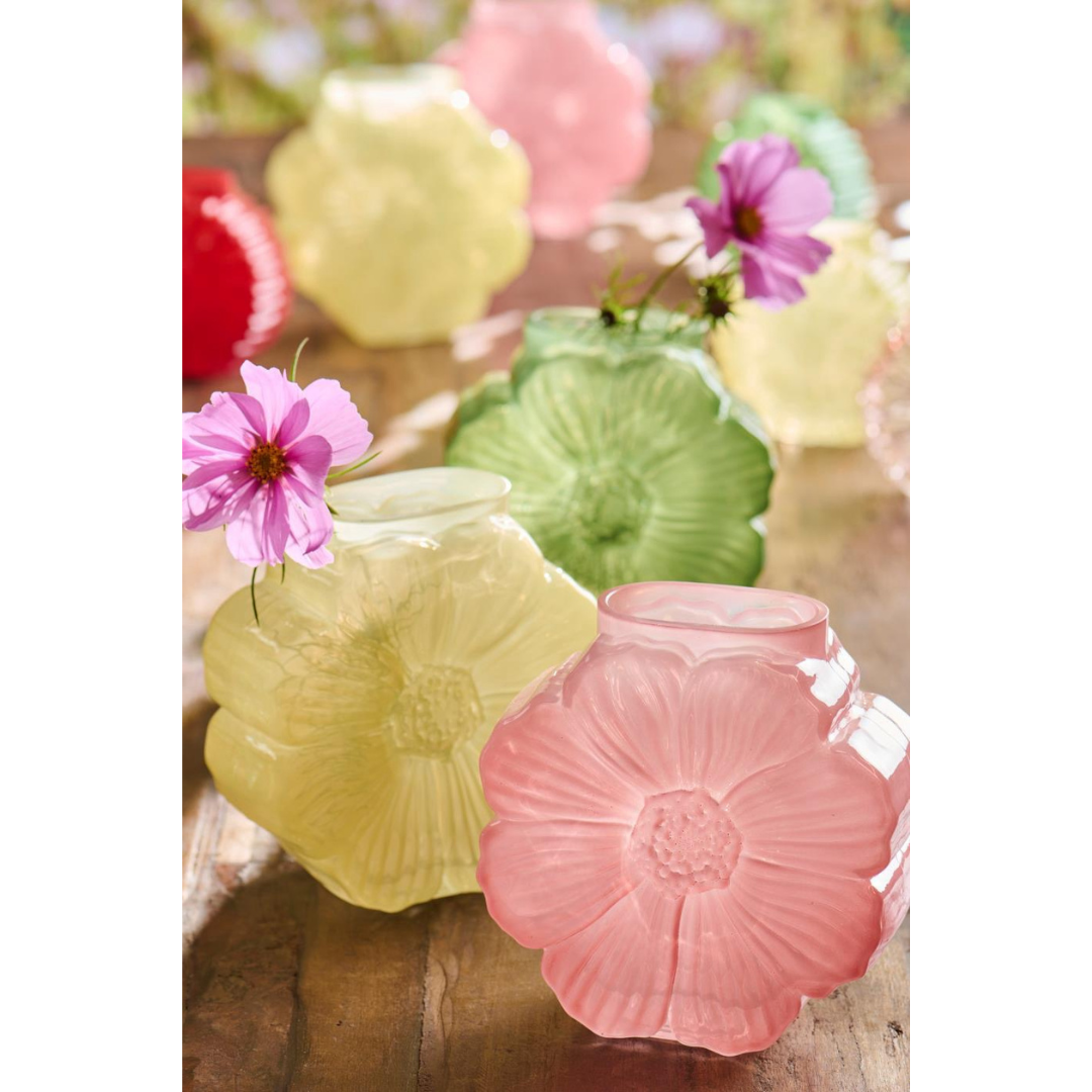 Vaso Daisy