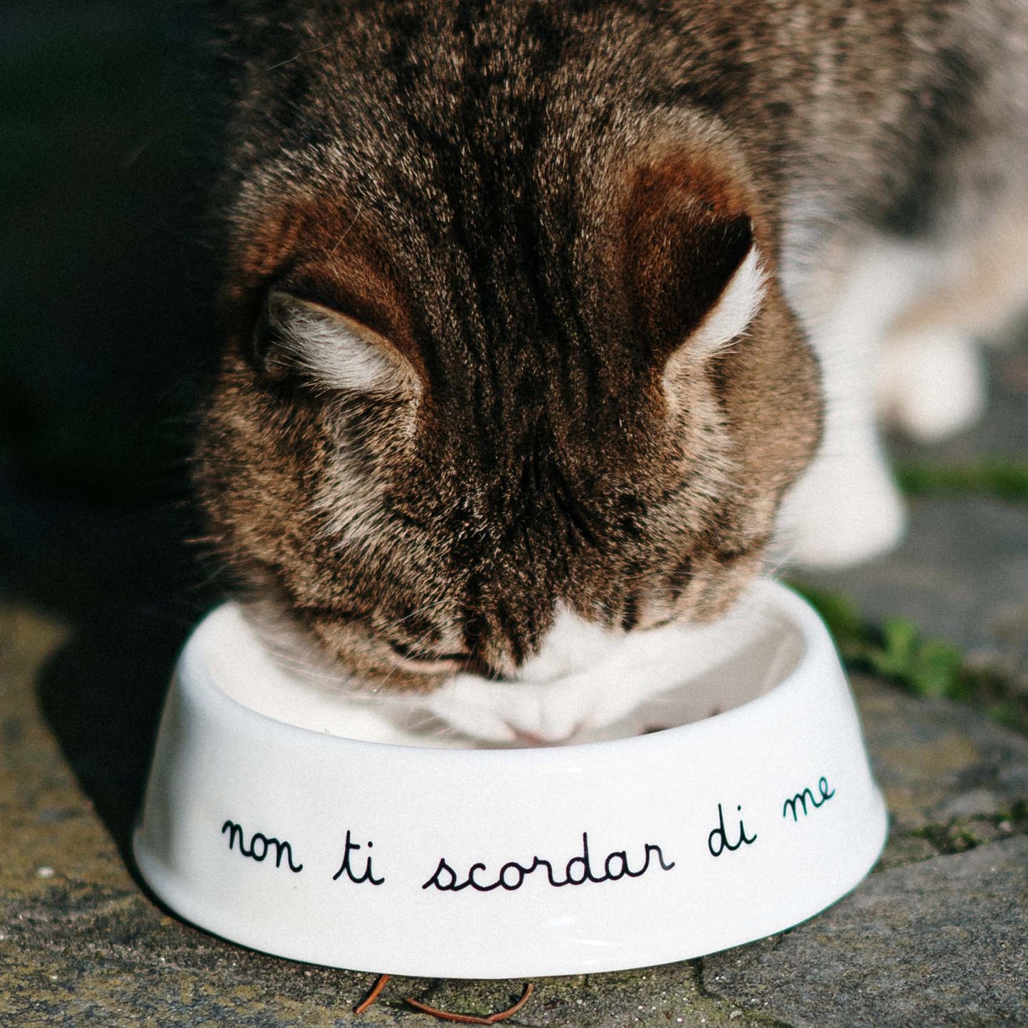Ciotola per animali Non ti scordar di me - S