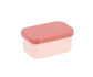 Bento Box Tutete Little Red
