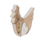 Decoro gallina con cuore