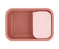 Bento Box Tutete Mouse Fairies