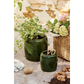 Vaso Saigon