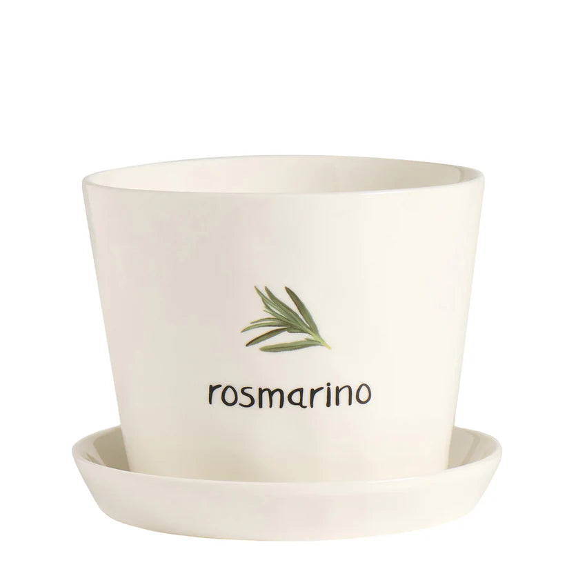 Vaso Rosmarino, con sottovaso