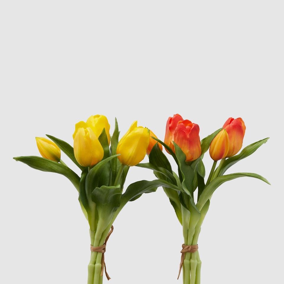 Bouquet 5 tulipani