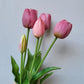 Bouquet 5 tulipani