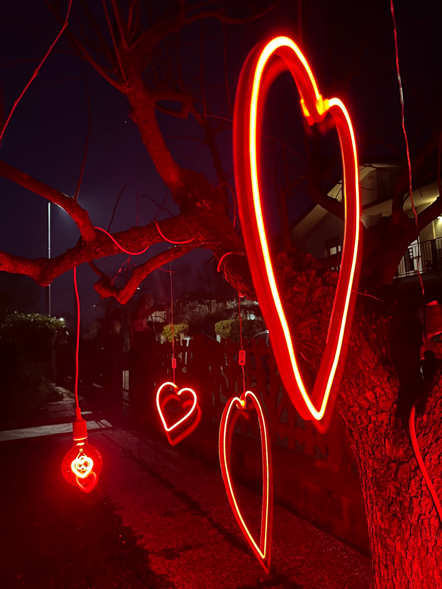 Neon led Cuore piccolo