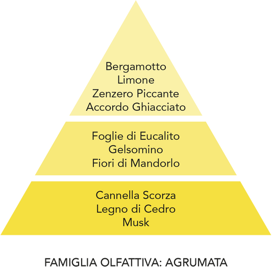 Ricarica Diffusore Ambiente - Ghiaccio e Zenzero